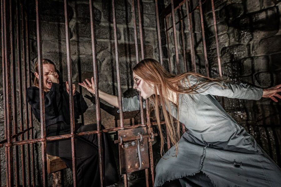 Berlin Dungeon: Entrance Ticket - Price and timing: choosing the best English show slots