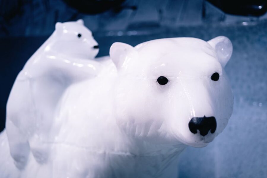 Berlin: Icebar Entrance with Complimentary Drinks - Practical Tips for a Comfortable Visit
