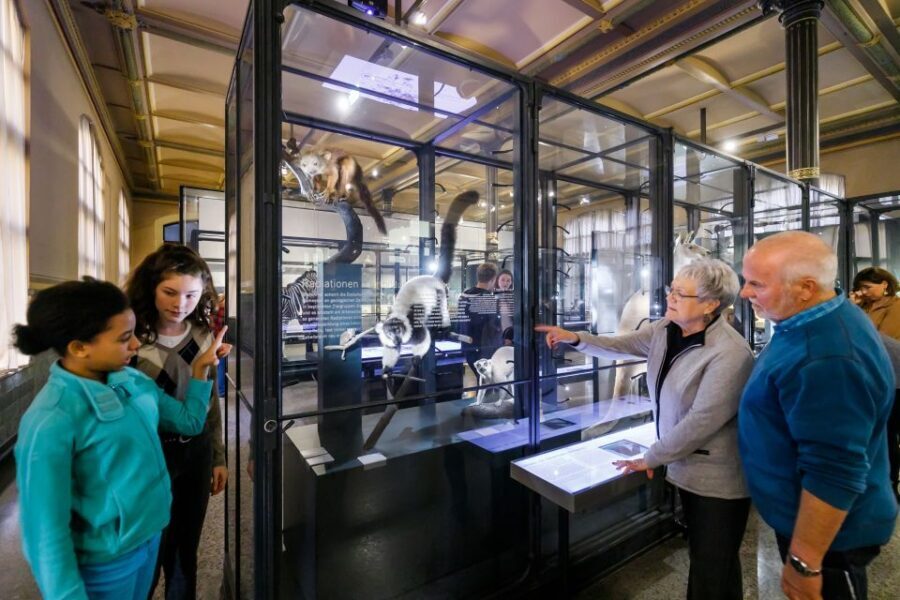 Berlin: Natural History Museum Entrance Ticket - Key highlights that make this ticket special