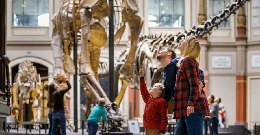 Berlin: Natural History Museum Entrance Ticket - The Dinosaur Hall: Jurassic drama with real scientific context