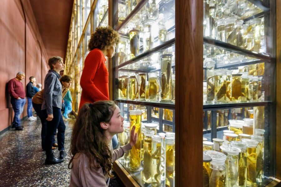 Berlin: Natural History Museum Entrance Ticket - East Wing wet collection: why “preserved in alcohol” is worth your time