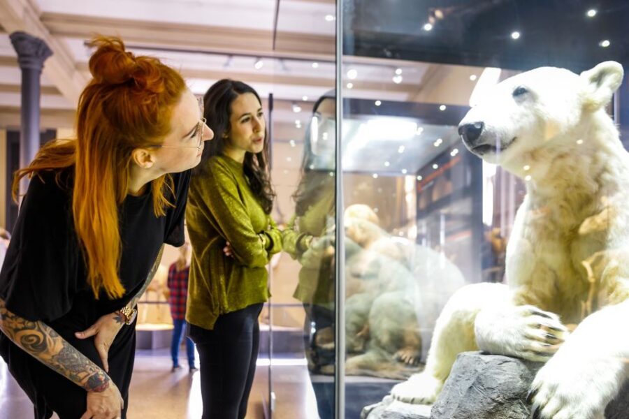 Berlin: Natural History Museum Entrance Ticket - Price and value: why $12 is a strong deal for a top-tier museum