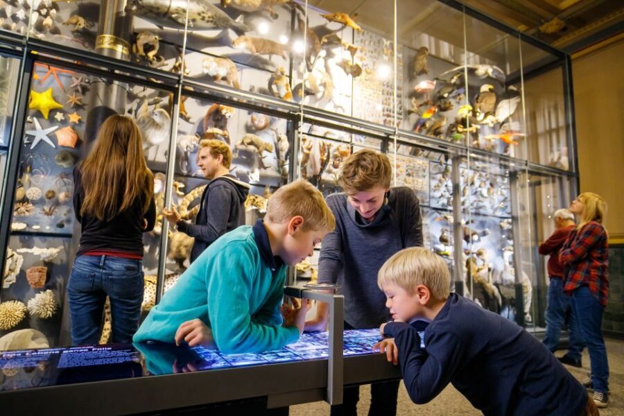Berlin: Natural History Museum Entrance Ticket - Timing, crowds, and the best way to walk through