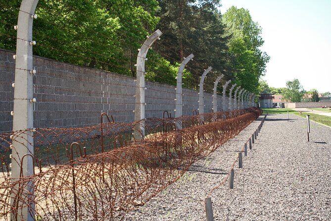 Berlin: Sachsenhausen Concentration Camp Tour in English - Punishment cells, infirmaries, and pathology: how cruelty worked day to day
