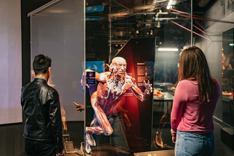 Berlin: Tickets for the BODY WORLDS Museum in Berlin - Who should buy tickets for BODY WORLDS Berlin?