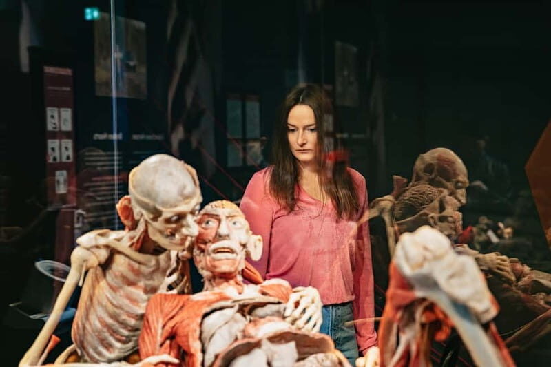 Berlin: Tickets for the BODY WORLDS Museum in Berlin - The walking route: from first halls to deeper health questions