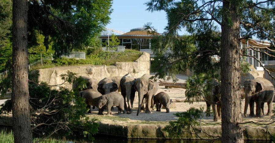 Cologne: Cologne Zoo and Aquarium Entry Ticket - Cologne Zoo and Aquarium: What Makes This Day So Easy