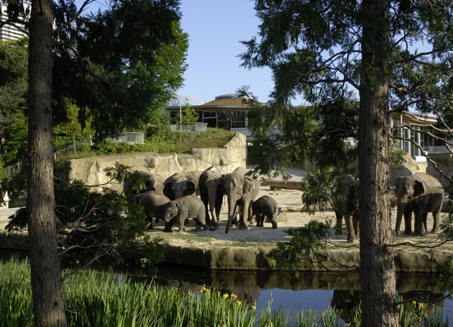 Cologne: Cologne Zoo and Aquarium Entry Ticket - Rainforest Hall and the Historical South America House