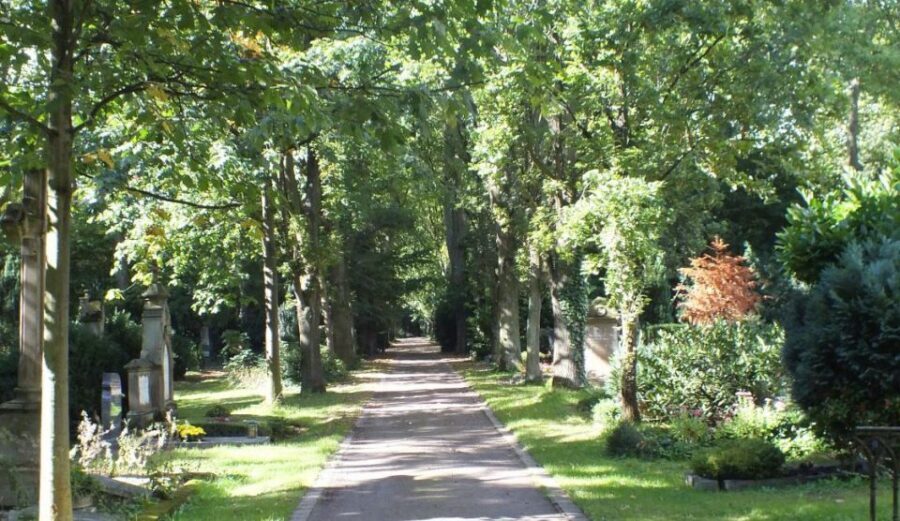Cologne: Melaten Cemetery Life, Love and Death Tour - Price and value for $16 per person