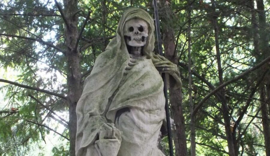 Cologne: Melaten Cemetery Life, Love and Death Tour - Finding your guide and the rhythm of a 2-hour walk