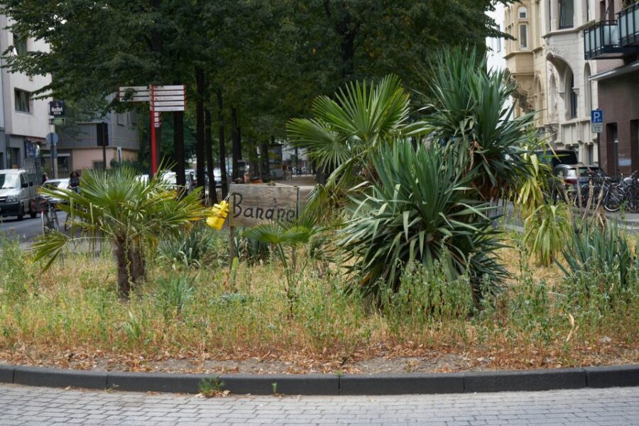 Cologne: Südstadt Guided Foodie Walking Tour - Another international delicacy, then the sweet finish