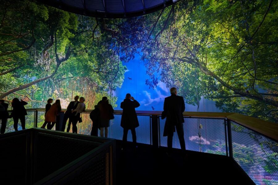 Dresden: 360° Panorama Amazonia Entry Ticket - Spotting details: giant ants, carnivorous plants, and river valleys
