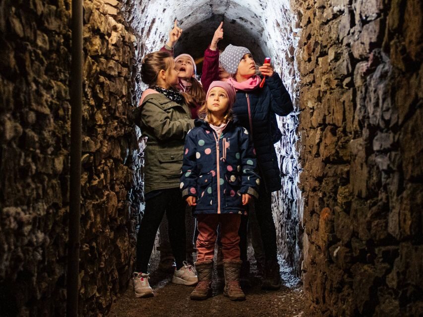 Erfurt: Guided Tour of The Petersberg Citadel - Who Should Book This Petersberg Citadel Tour?