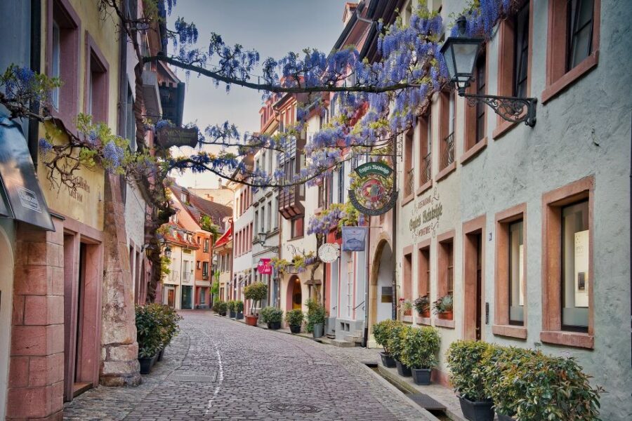 Freiburg: Gässle, Bächle and More City Tour - Key reasons to take the Freiburg Gässle and Bächle walk