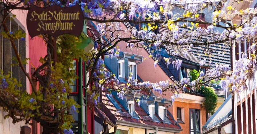 Freiburg: Gässle, Bächle and More City Tour - Freiburger Münster without going inside: how to still get the wow