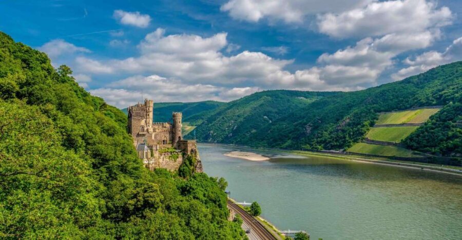 From Frankfurt: Rhine Valley Day Trip - Assmannshausen lunch at the riverbank: included food, extra costs, and a quirky vibe