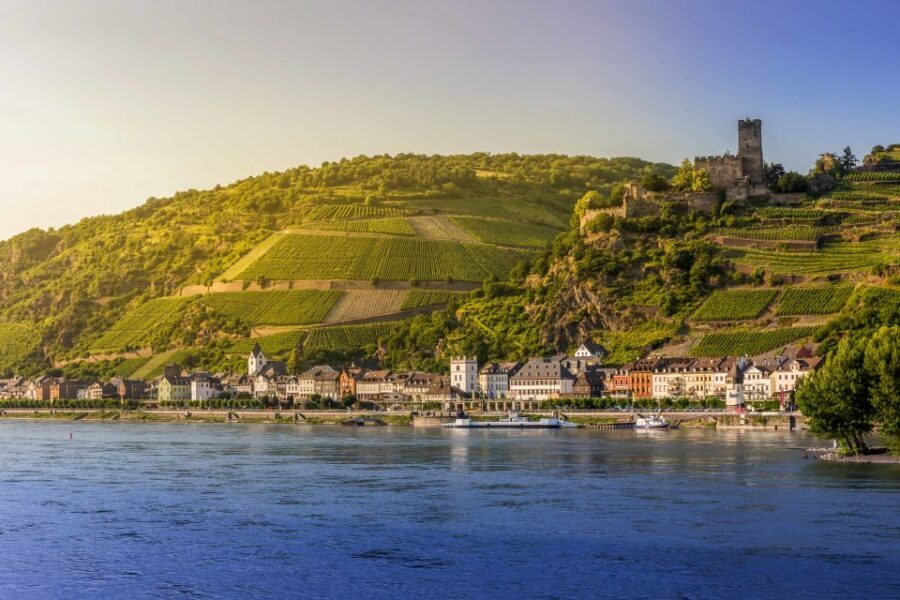 From Frankfurt: Rhine Valley Day Trip - The steamer cruise through castle country: your main event