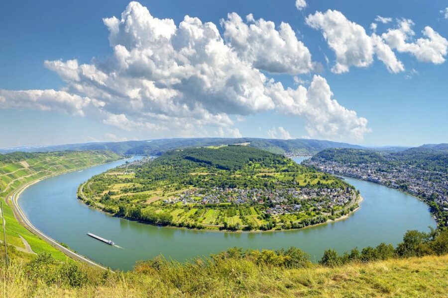 From Frankfurt: Rhine Valley Day Trip - Wine-growing history lesson in Assmannshausen: what’s included and what isn’t