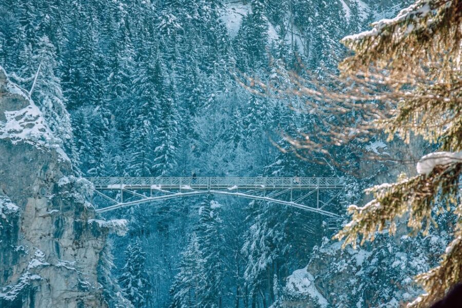 From Hohenschwangau: Tour to Neuschwanstein Castle - Price and logistics: is $74 actually worth it?