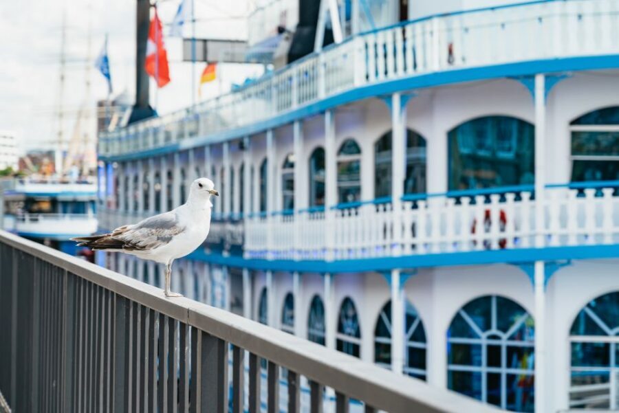 Hamburg: 1-Hour Harbor Sightseeing Cruise with HafenCity - Key highlights worth your attention
