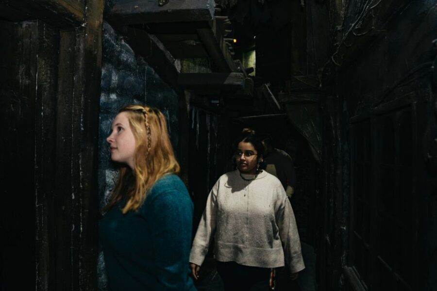 Hamburg: Hamburg Dungeon Admission Ticket - Price and Value: Is $33 Good for What You Get?