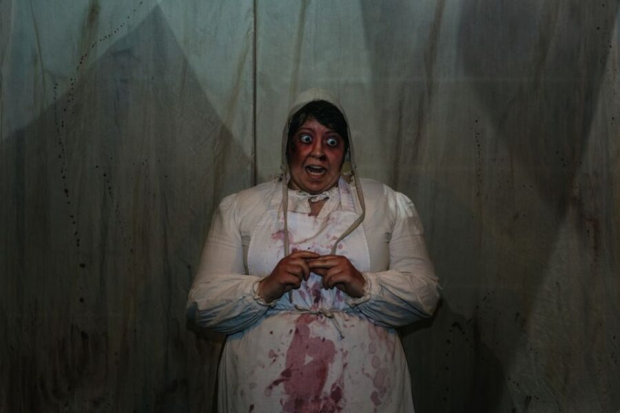Hamburg: Hamburg Dungeon Admission Ticket - Should You Book the Hamburg Dungeon Ticket?