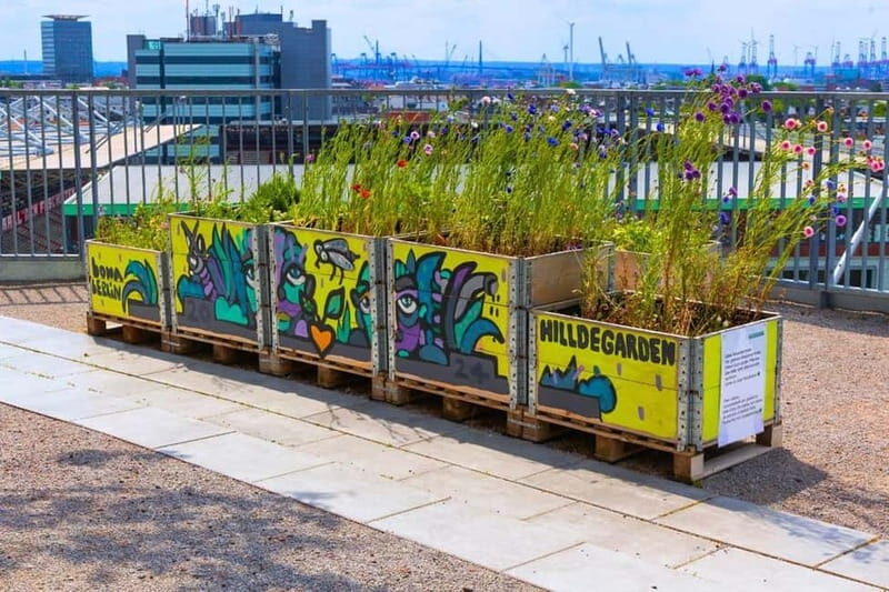 Hamburg: St. Pauli Green Bunker Tour in German - Why this “green evolution” is more than a cool roof