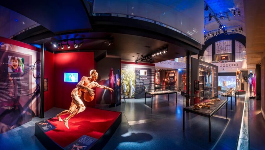 Heidelberg: KÖRPERWELTEN Museum Entry Ticket - Getting there and timing: fit it into your day