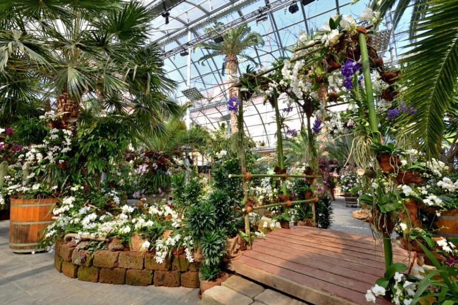 Konstanz: Mainau Island Entry Ticket - Palm trees up to 15 meters tall: the Mediterranean effect