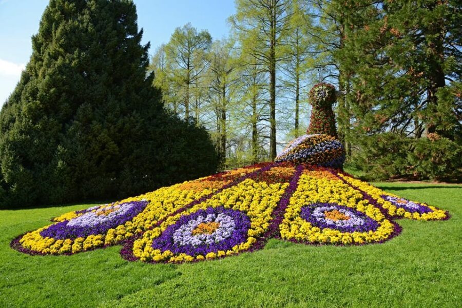 Konstanz: Mainau Island Entry Ticket - Price and value: is $15 per person worth it?