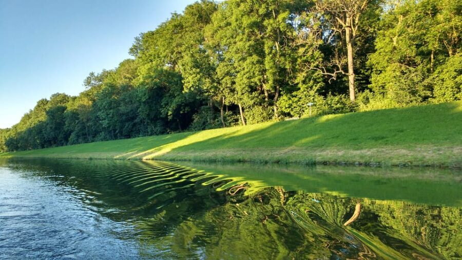 Leipzig: 2-hour Auwald Motorboat Tour - Key highlights worth your attention