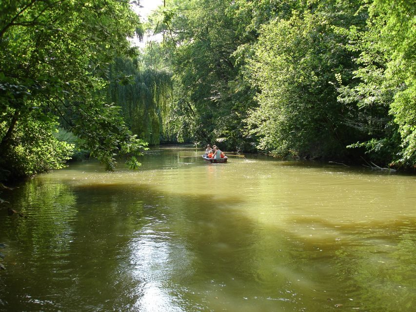 Leipzig: Riverside Forest Tour on the Pleiße - Ancient oaks, “pleasant climate,” and what to wear
