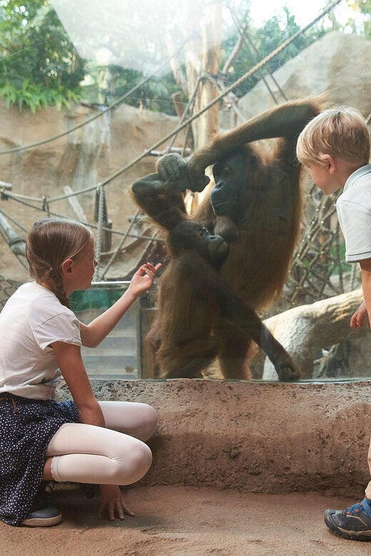 Leipzig Zoo: Entry Ticket - Leipzig Zoo at a glance: what makes this ticket feel like value