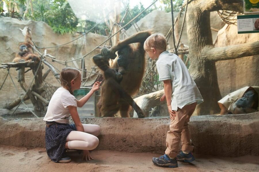 Leipzig Zoo: Entry Ticket - Pongoland: the great apes under one roof