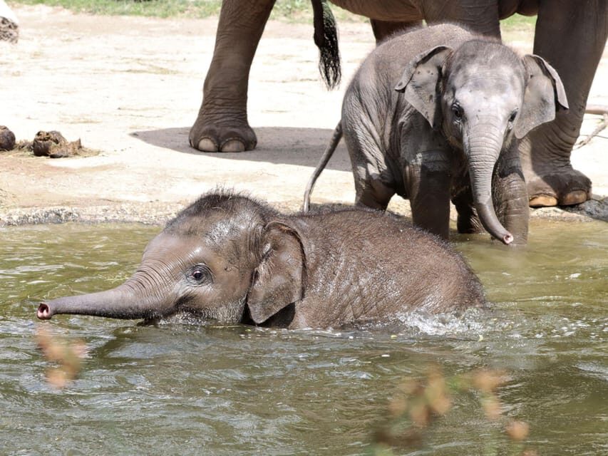 Leipzig Zoo: Entry Ticket - Price and value: is $22 a fair deal for a zoo day?