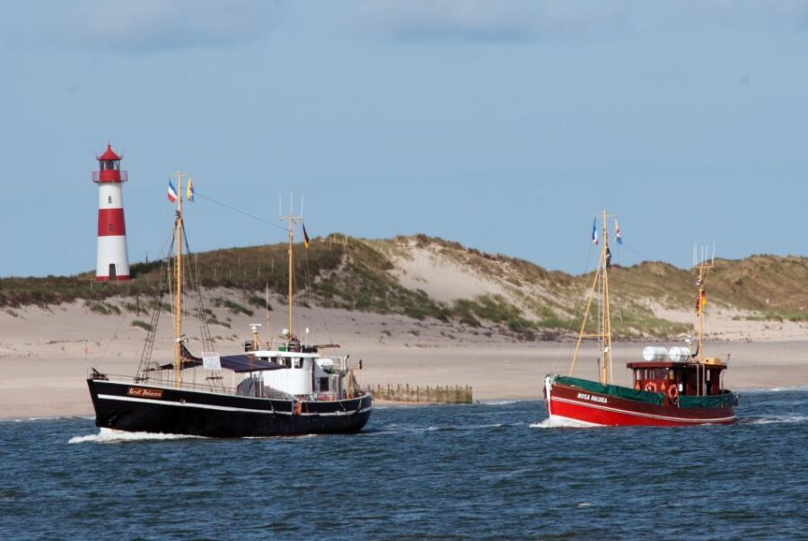 List/Sylt: Guided Seal-Watching Cruise on a Rustic Boat - Key things that make this cruise worth your time