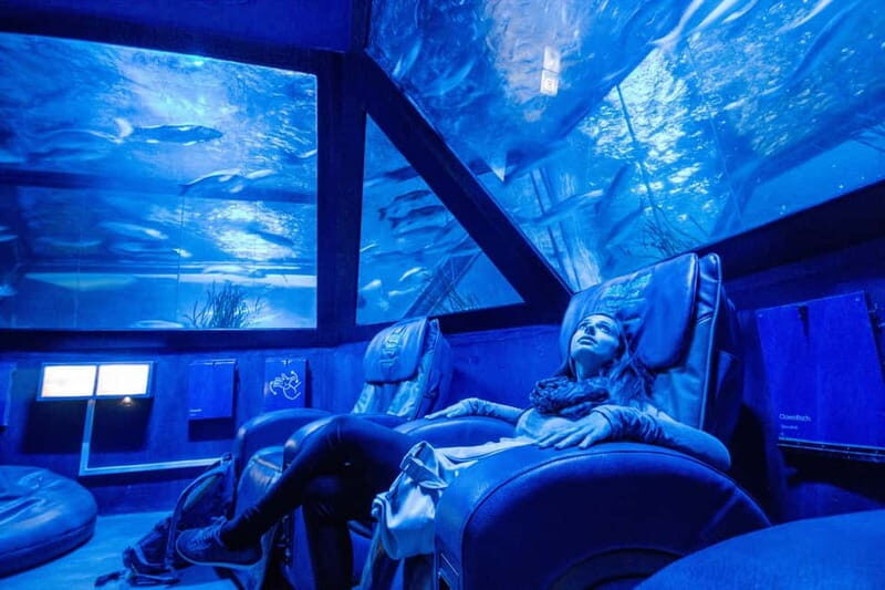 Munich: Day Ticket to Sea Life - The zebra shark star: Pünktchen and the tropical ocean basin