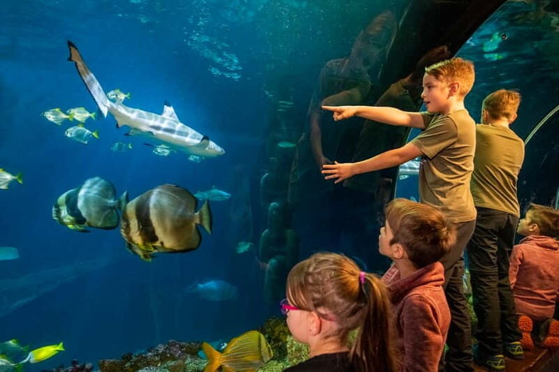 Munich: Day Ticket to Sea Life - Where to find Sea Life Munich (and how that helps)