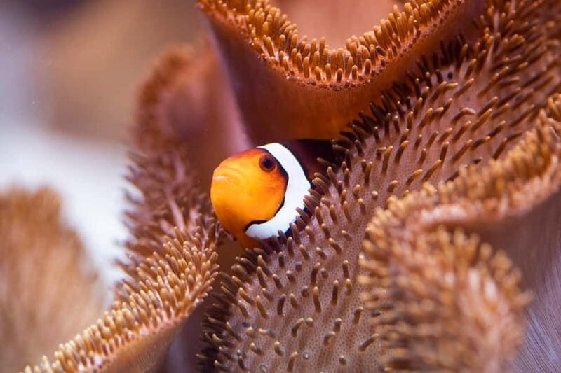 Munich: Day Ticket to Sea Life - Planning your visit: what your day will feel like