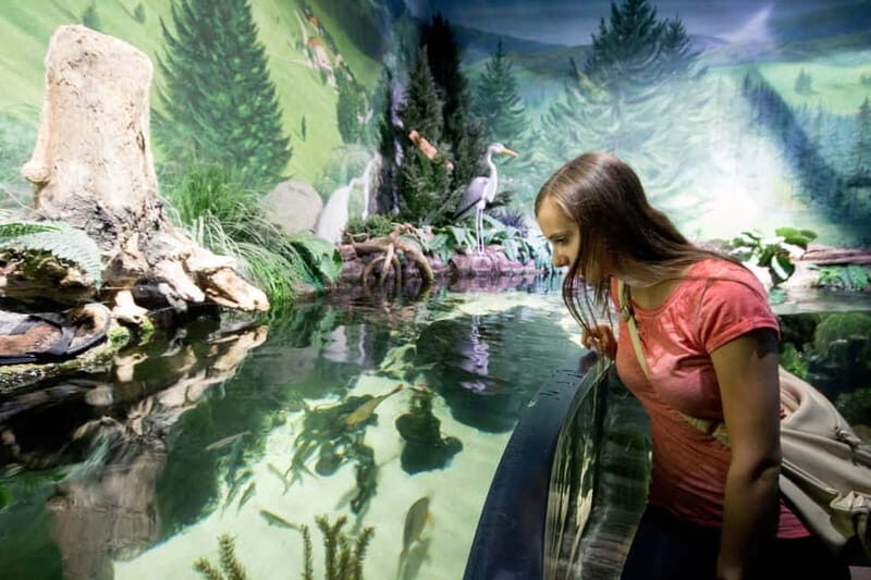Munich: Day Ticket to Sea Life - The ocean tunnel (8 meters): where you actually feel close to sharks