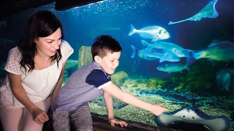 Munich: Day Ticket to Sea Life - Shark power: what you’ll see and why it matters