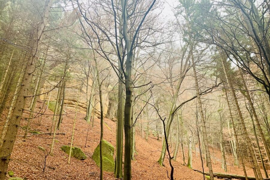 Prague: All-inclusive trip to Bohemian and Saxon Switzerland - Kamenice Gorge and the gondola ride that breaks up the effort