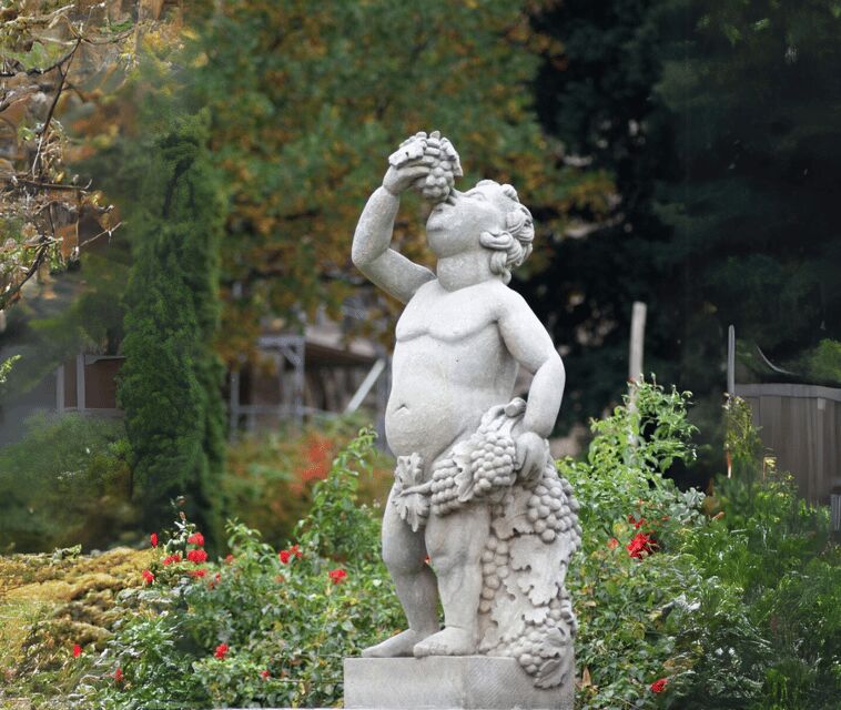 Premiumstadtführung (historische Altstadt und Schlossberg) - Key things to know before you go