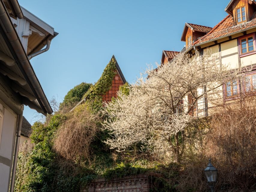 Quedlinburg: Guided City Highlights Walking Tour - Key Things You’ll Notice on This Quedlinburg Highlights Tour