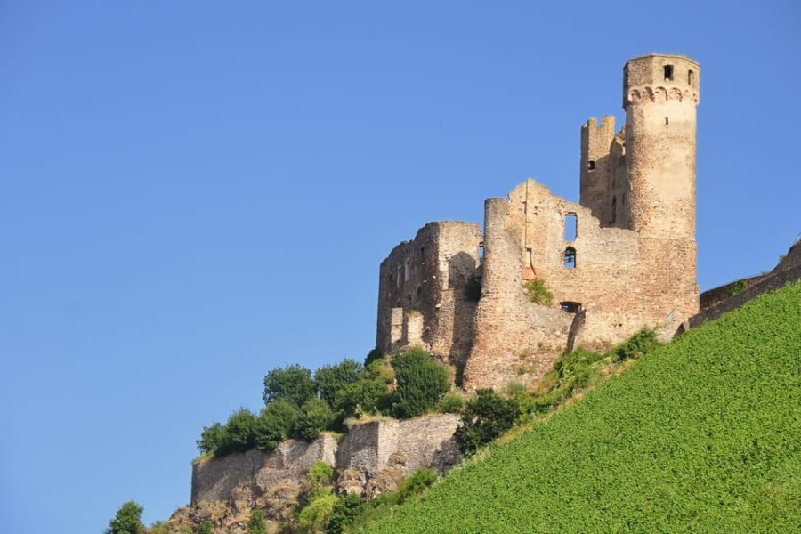 Rhine Valley Castles: 1.5-Hour Boat Tour from Rüdesheim - Niederwald Monument and Osteinpark: a grand finish by design