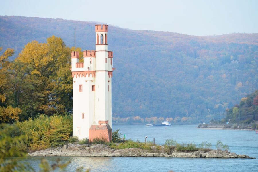 Rhine Valley Castles: 1.5-Hour Boat Tour from Rüdesheim - Where the Nahe meets the Rhine, then Klopp Castle