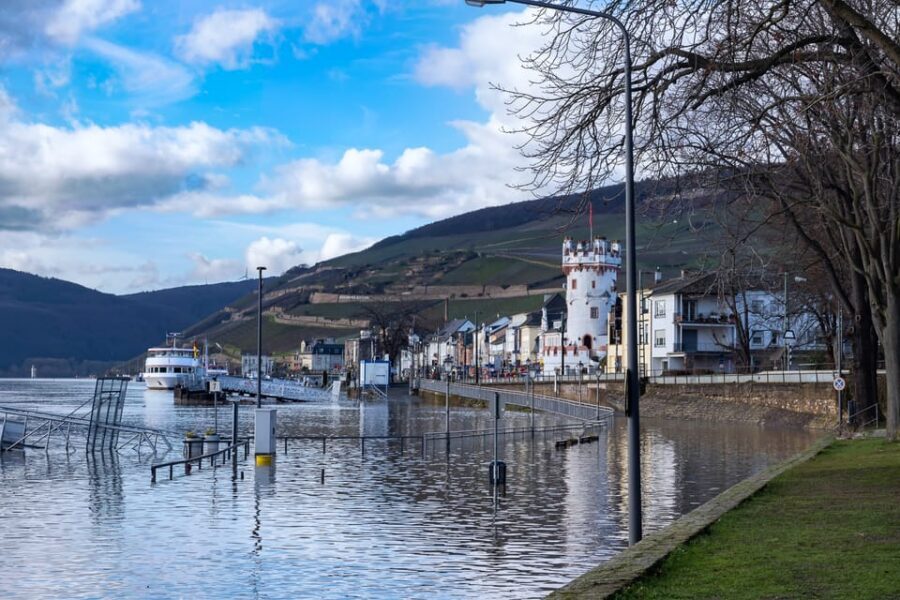 Rhine Valley Castles: 1.5-Hour Boat Tour from Rüdesheim - Wine-town passes: Assmannhausen and the red-wine slopes