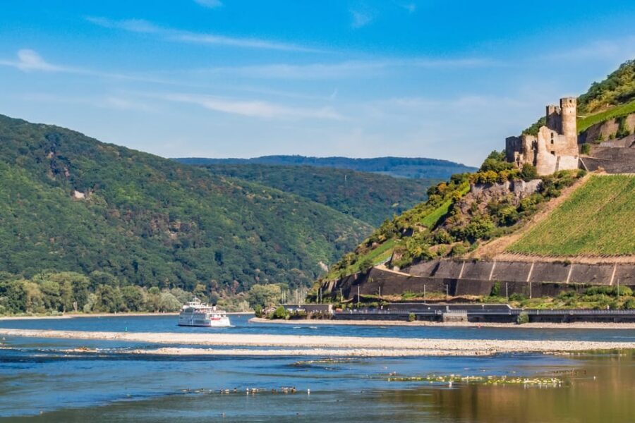Rhine Valley Castles: 1.5-Hour Boat Tour from Rüdesheim - Bingen’s Rhine Park and the feel of the river towns