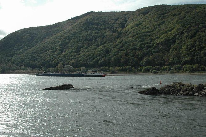 Rhine Valley Trip from Frankfurt including Rhine River Cruise - Lunch, dinner, and the wine tasting reality check