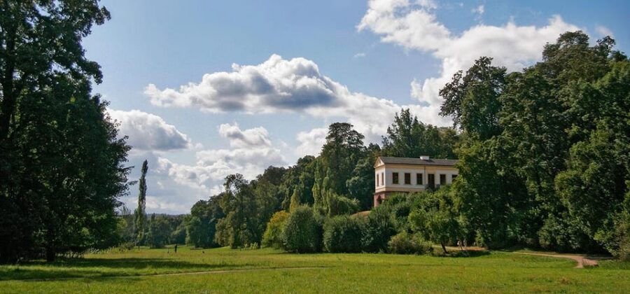 Weimar: Old Town Guided Walking Tour - At-a-Glance: Why This Weimar Walk Works